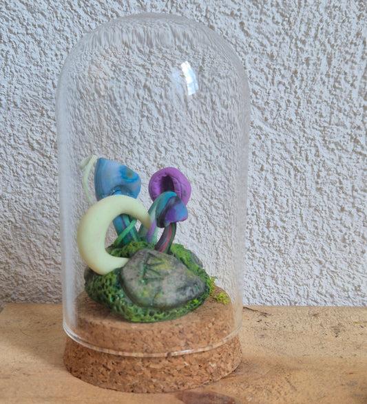 ✨mush & moon Mini Mondes Magiques sous Cloche ✨