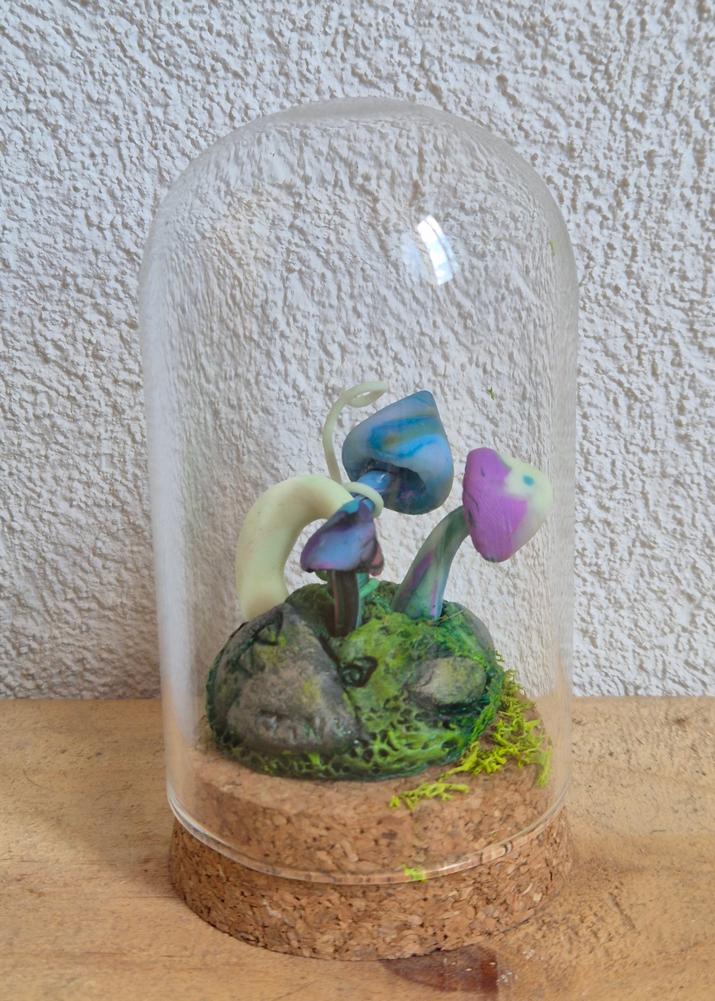 ✨mush & moon Mini Mondes Magiques sous Cloche ✨