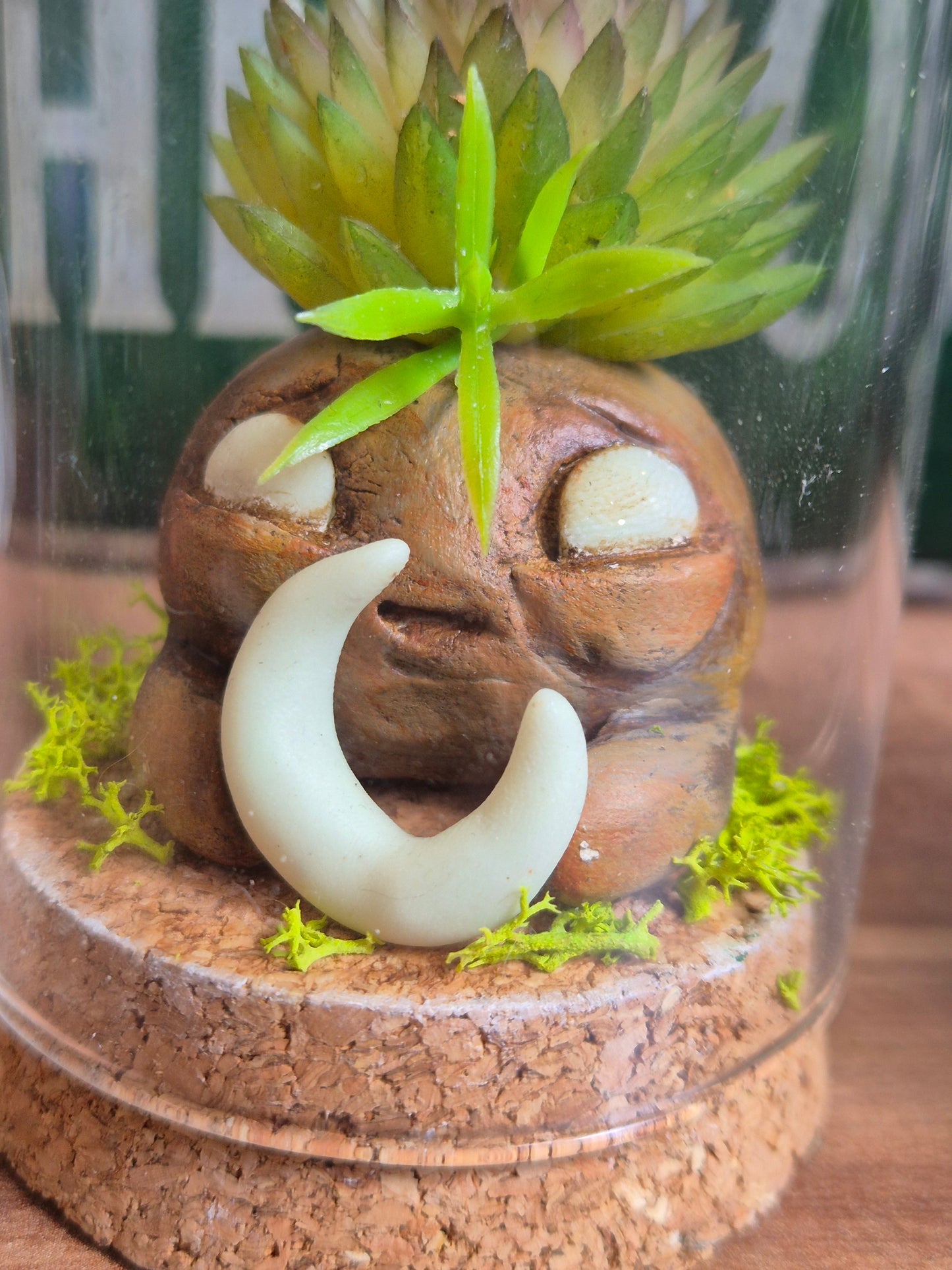 ✨ mandragore Mini Mondes Magiques sous Cloche ✨
