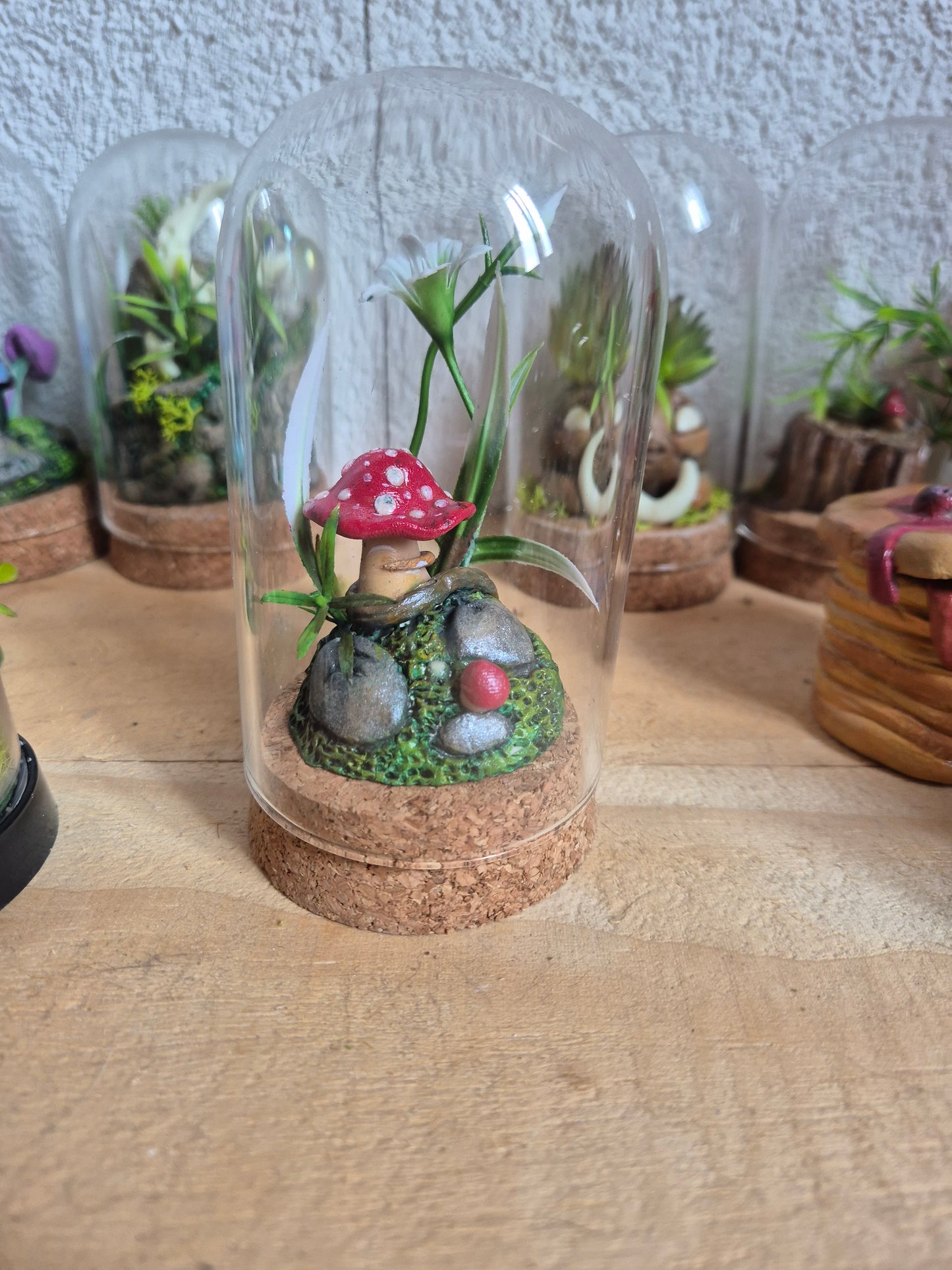 ✨ the mush & the flower Mini Mondes Magiques sous Cloche ✨