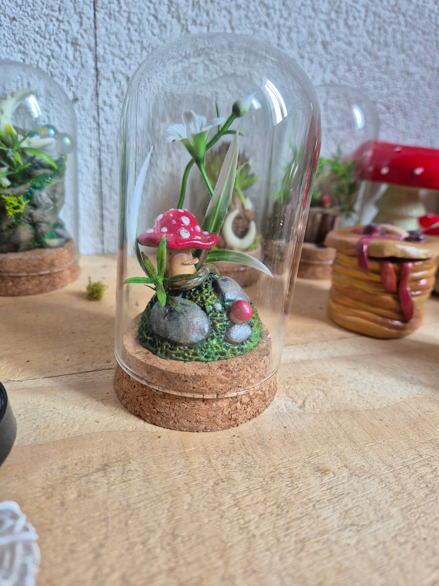 ✨ the mush & the flower Mini Mondes Magiques sous Cloche ✨