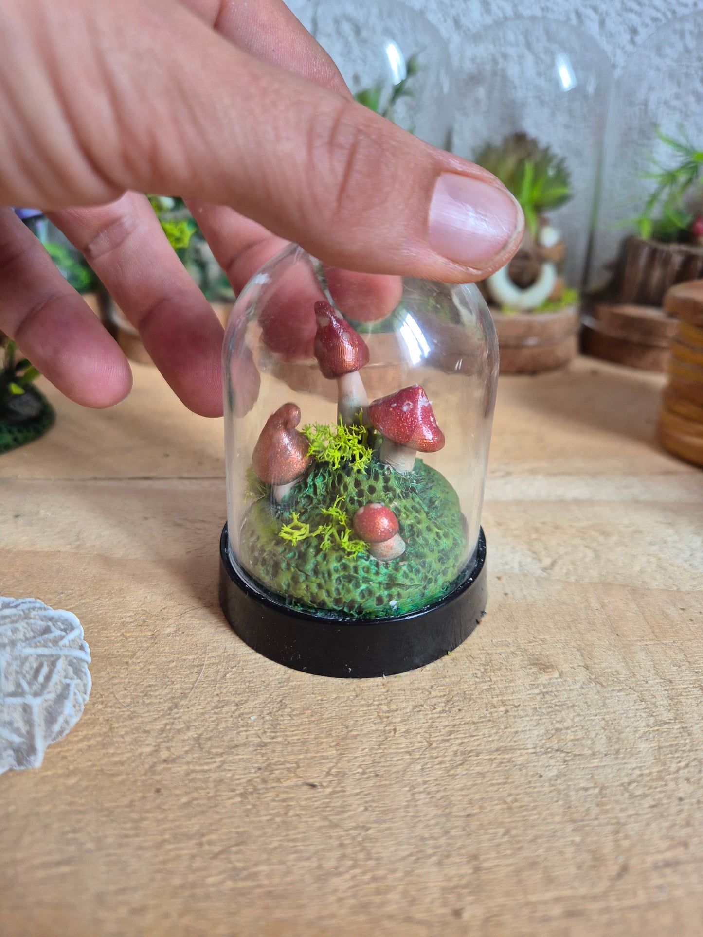 ✨ mush2 Mini Mondes Magiques sous Cloche ✨