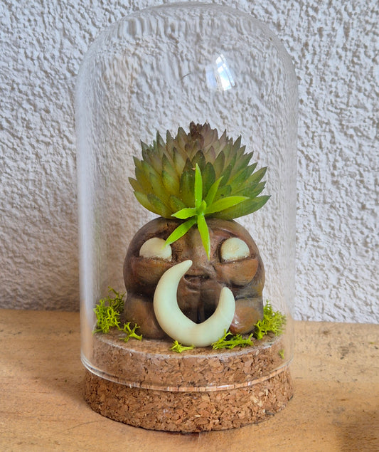 ✨ mandragore Mini Mondes Magiques sous Cloche ✨