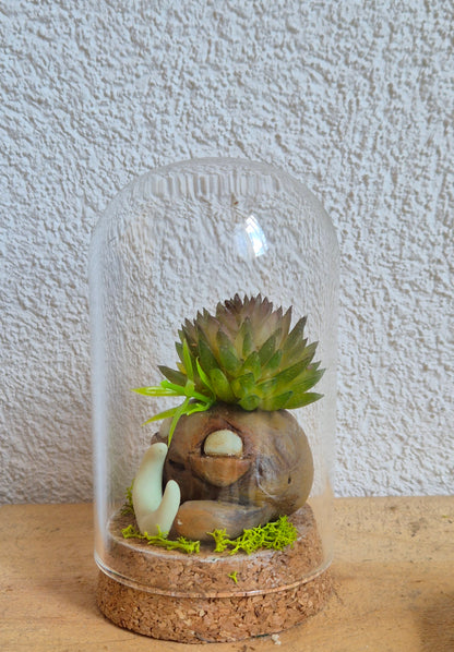 ✨ mandragore Mini Mondes Magiques sous Cloche ✨