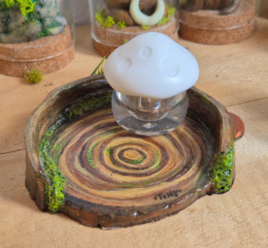 🌳🍄 Plateau "Souche enchantée"